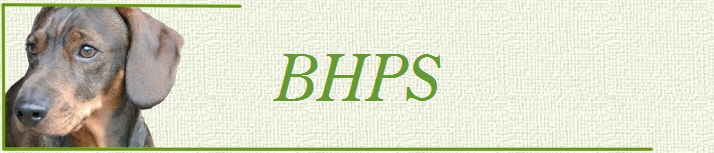 BHPS