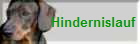 Hindernislauf