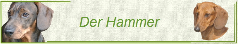 Der Hammer