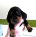 photo7_small.jpg
