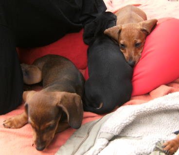 photo20.jpg