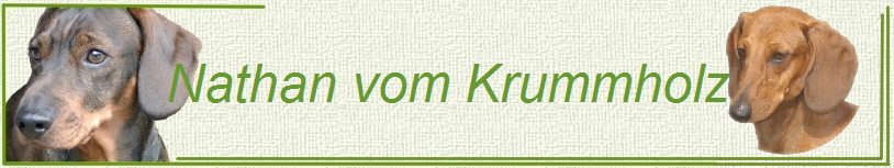 Nathan vom Krummholz