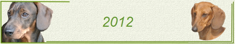 2012