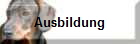Ausbildung