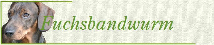 Bertls Dackelseite Bertls Dackelseite