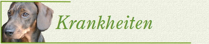Krankheiten